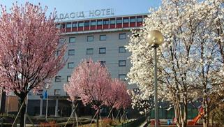 ABACUS HOTEL